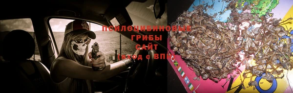 твердый Кострома