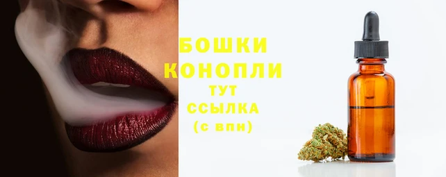 твердый Кострома